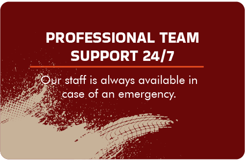 Professional Team Support 24/7
